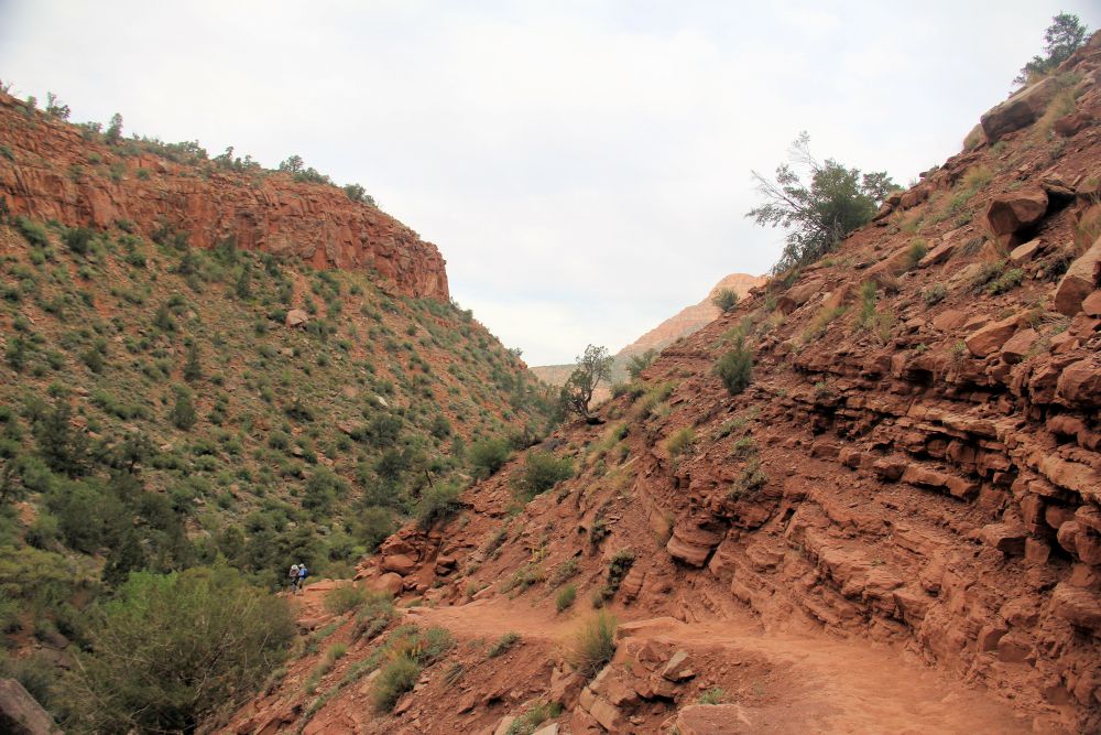 Outlook