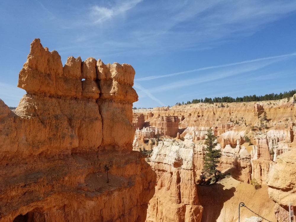 Outlook