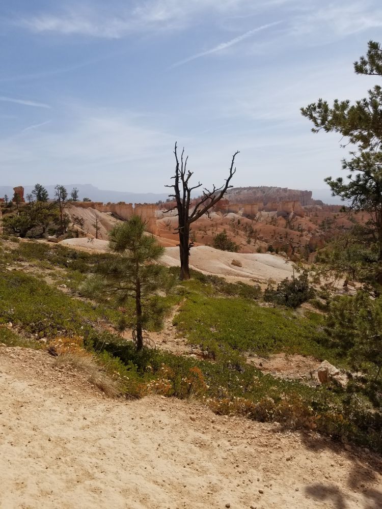 Outlook
