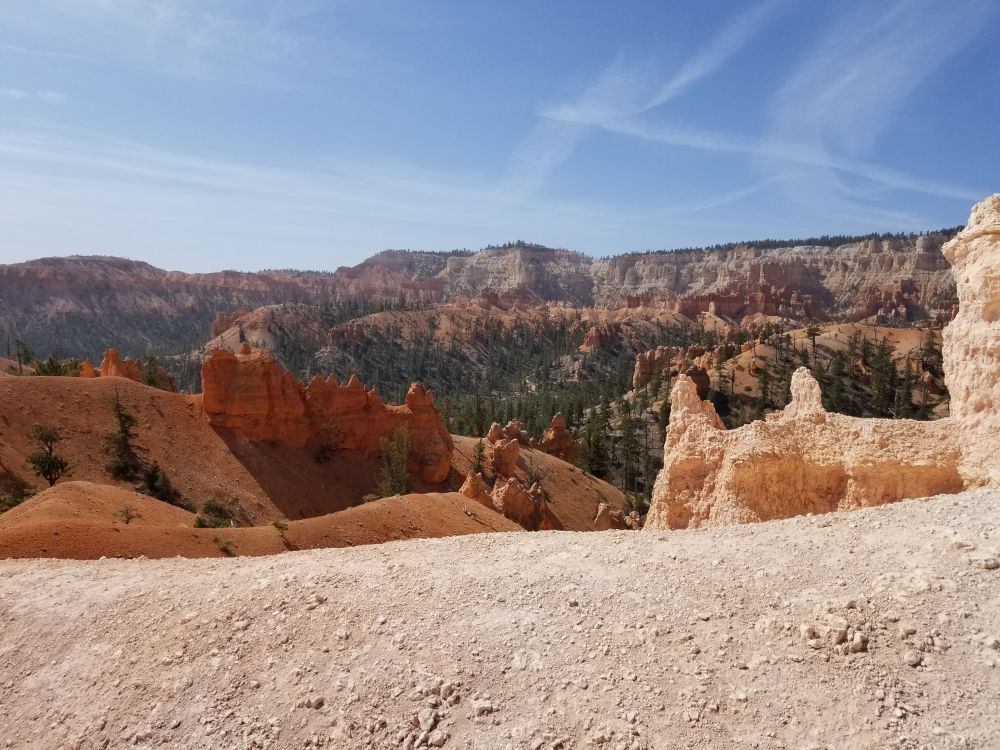 Outlook