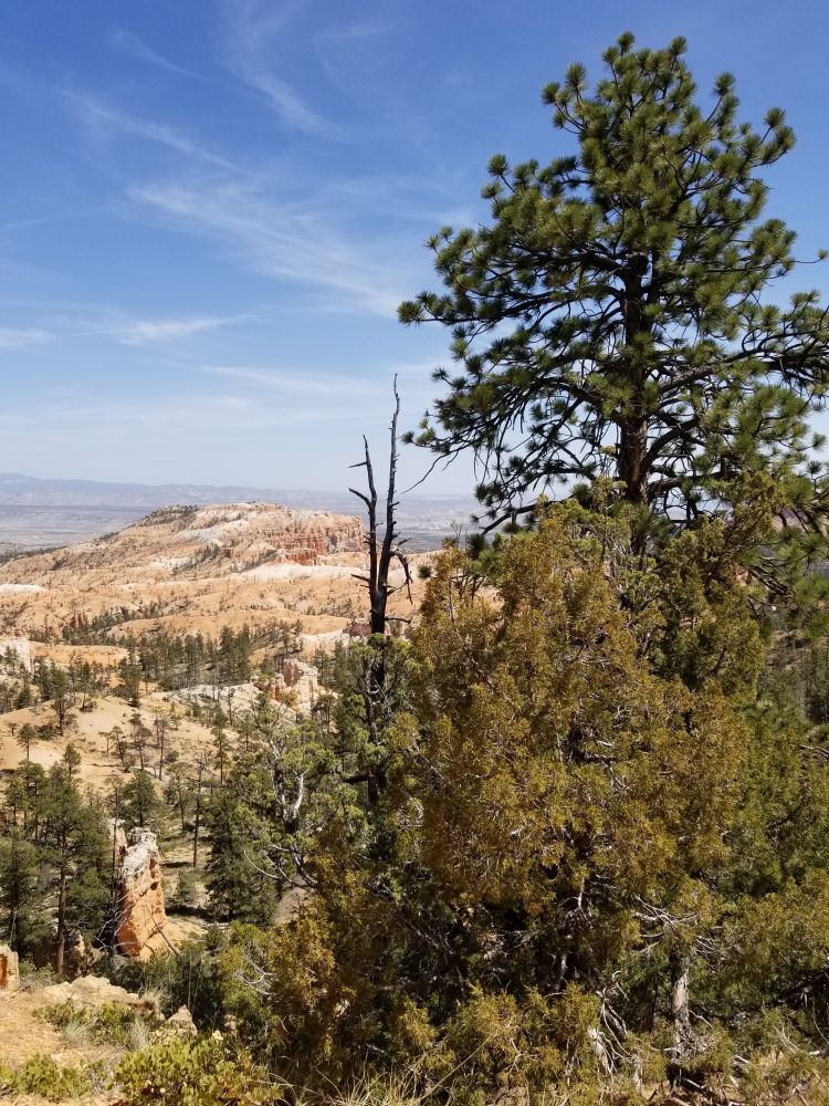 Outlook