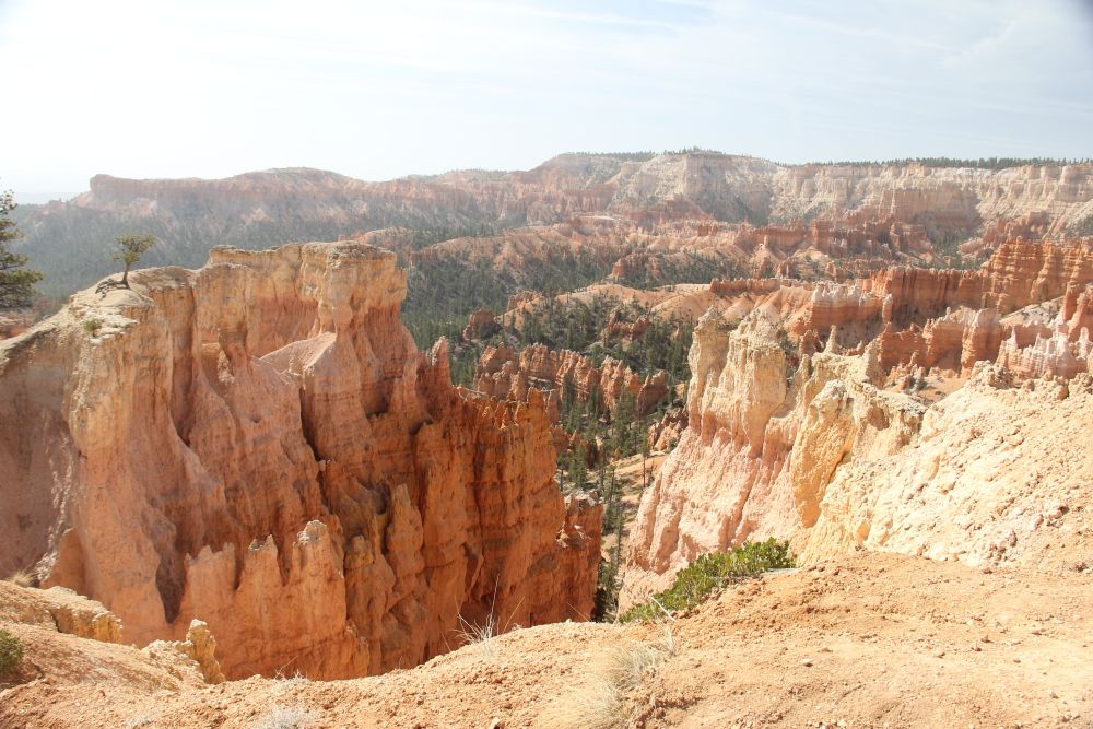 Outlook