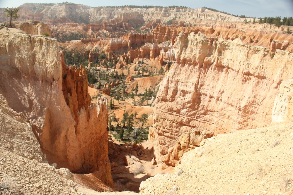 Outlook