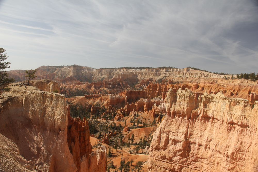 Outlook