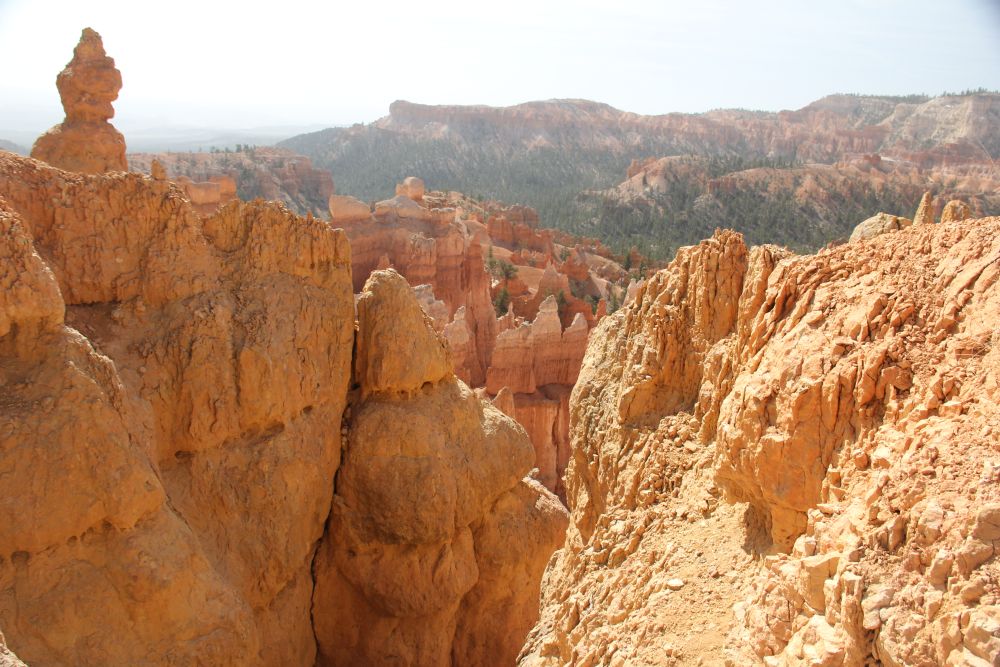 Outlook