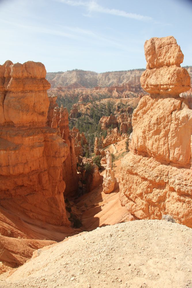 Outlook