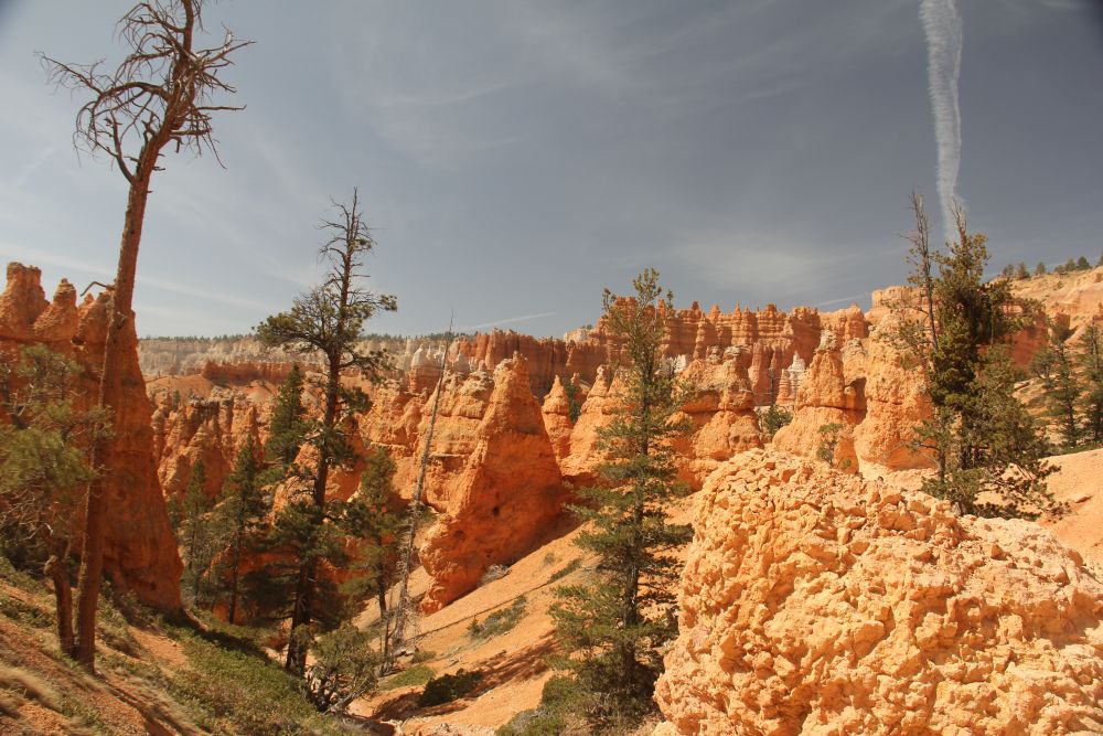 Outlook