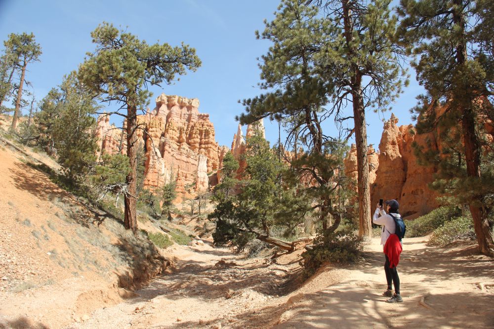 Outlook