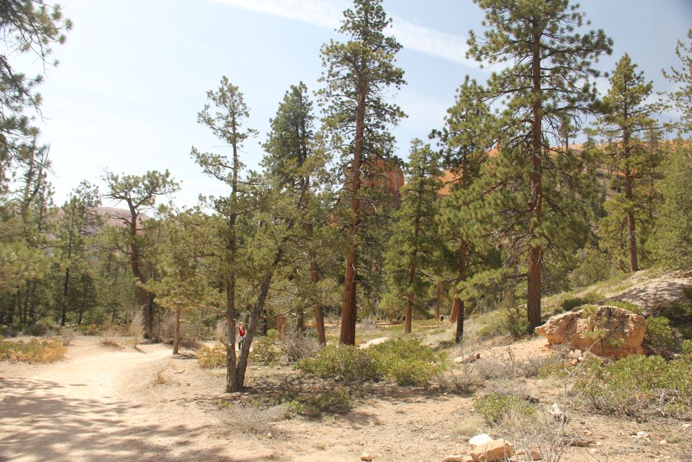 Outlook