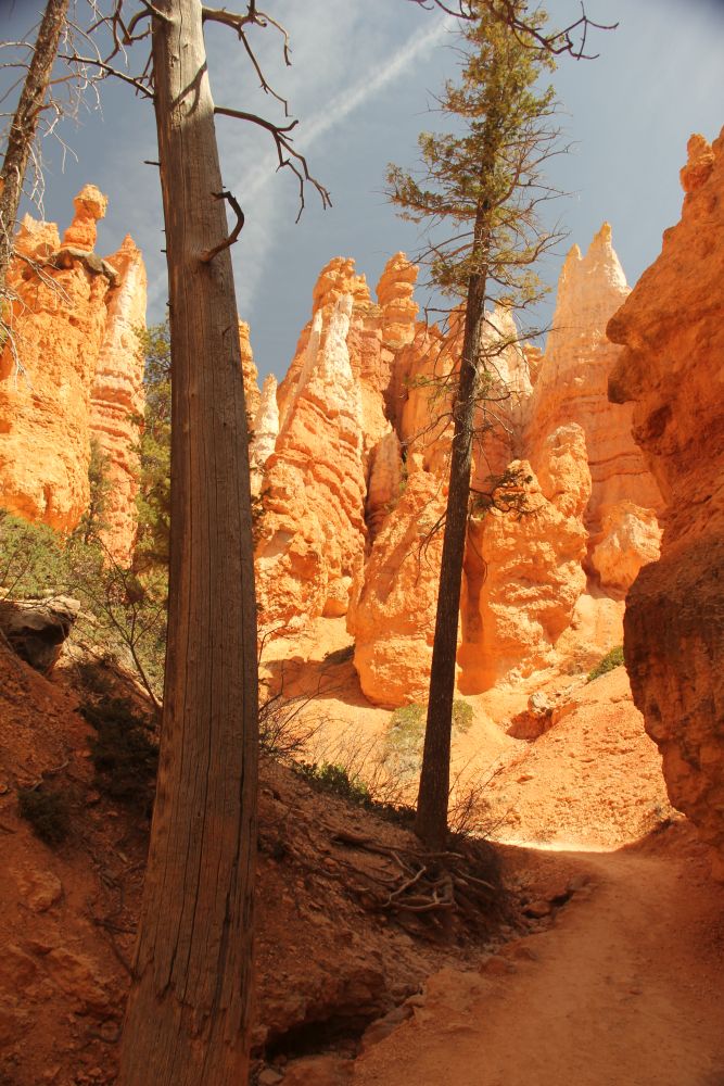 Outlook