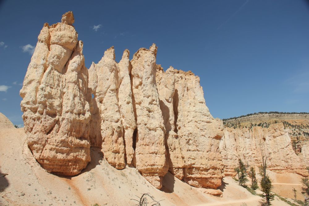 Outlook