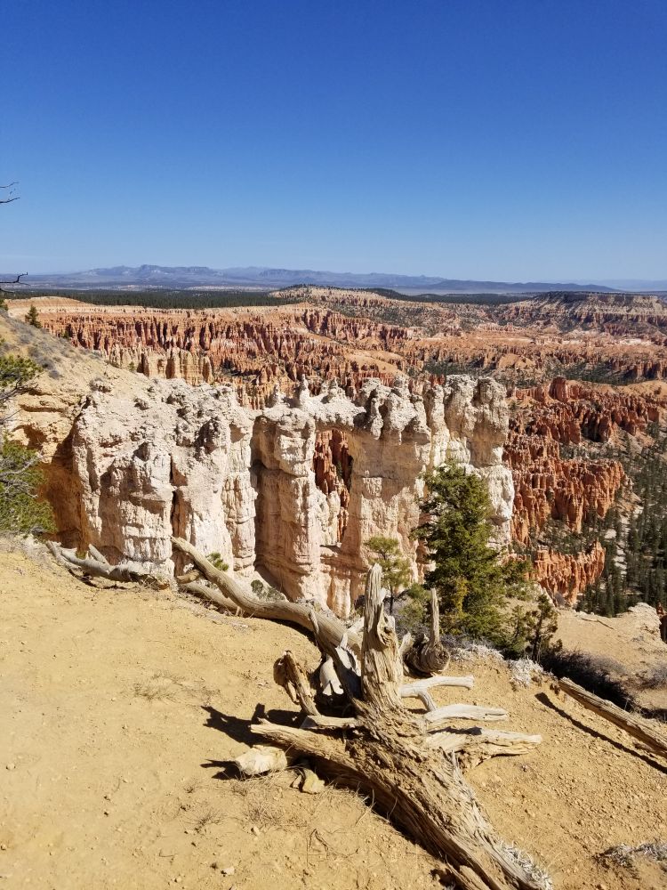 Outlook