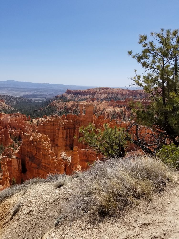Outlook