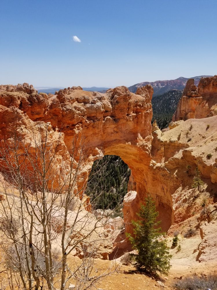 Outlook