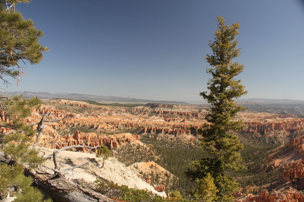 Outlook
