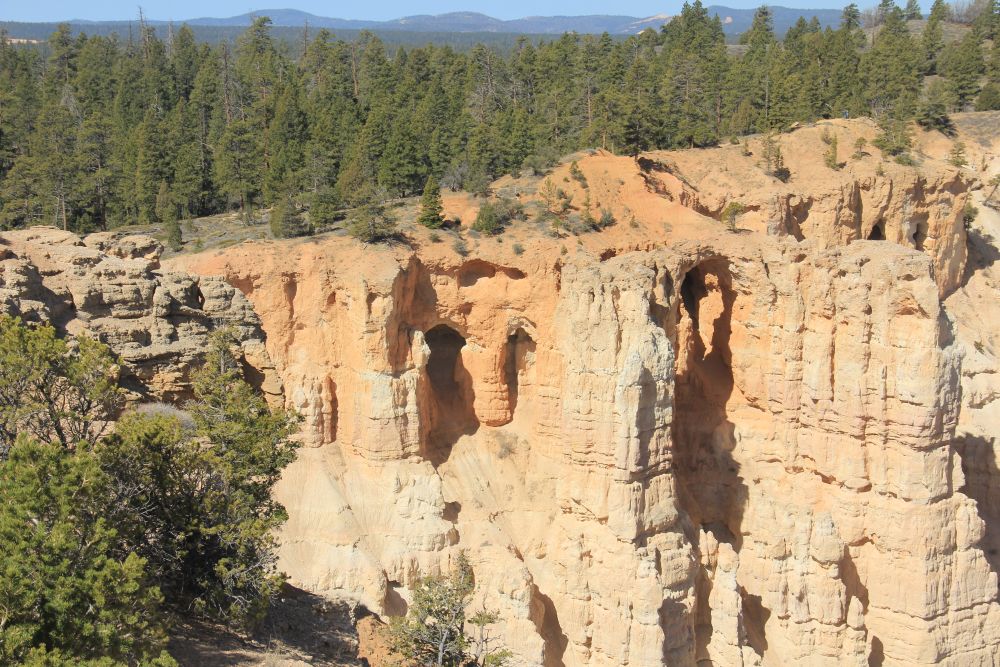 Outlook
