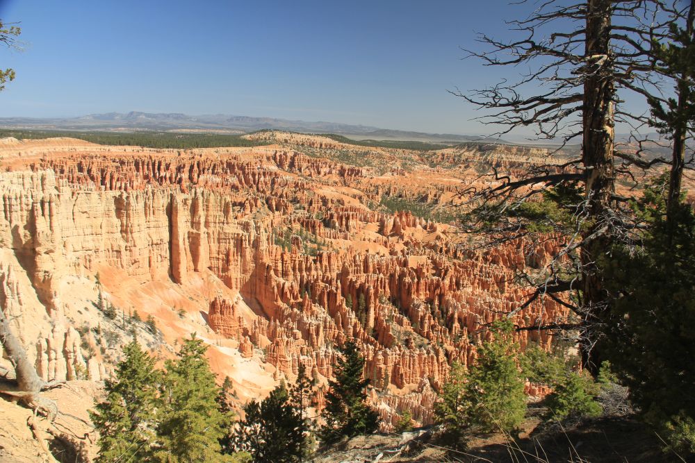 Outlook