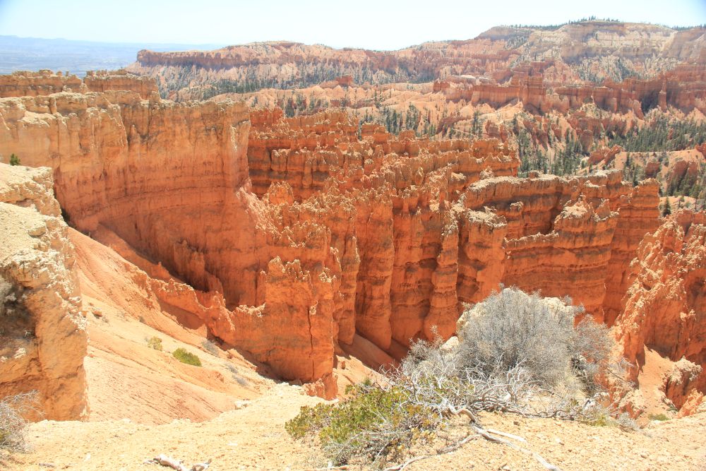Outlook