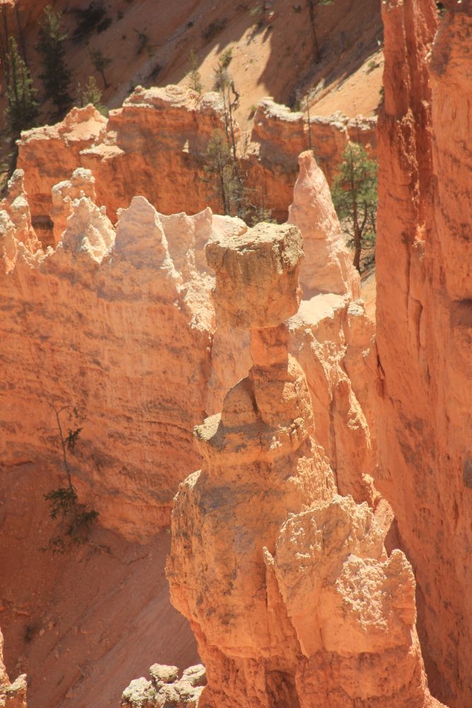 Outlook