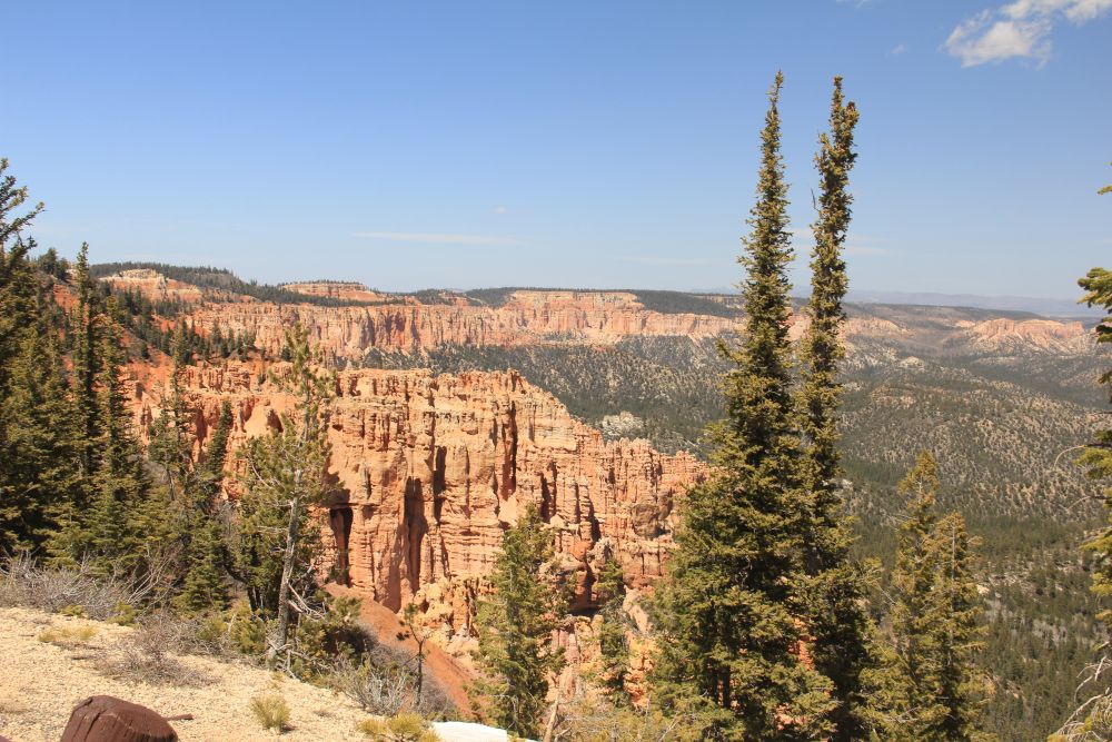 Outlook