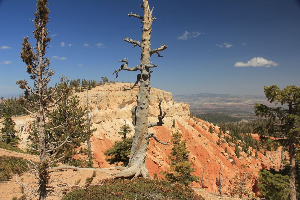 Outlook