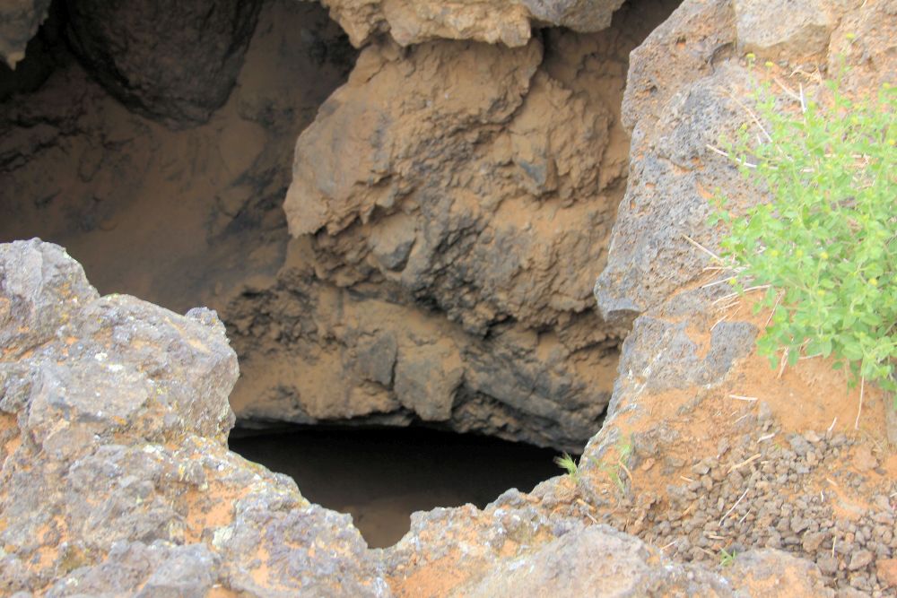 Outlook