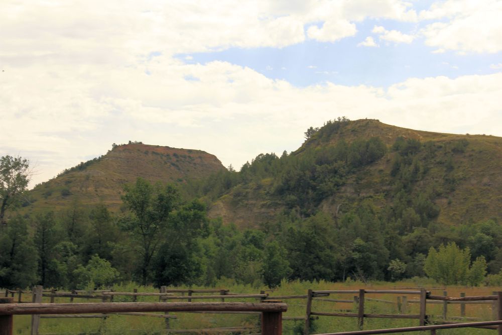 Outlook
