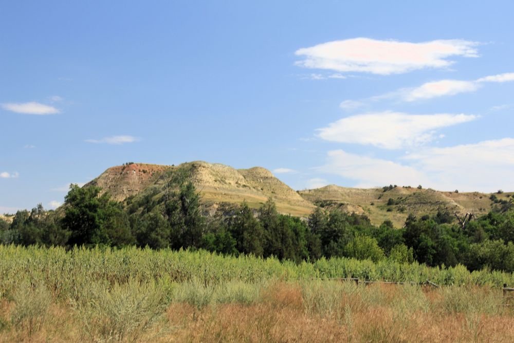 Outlook