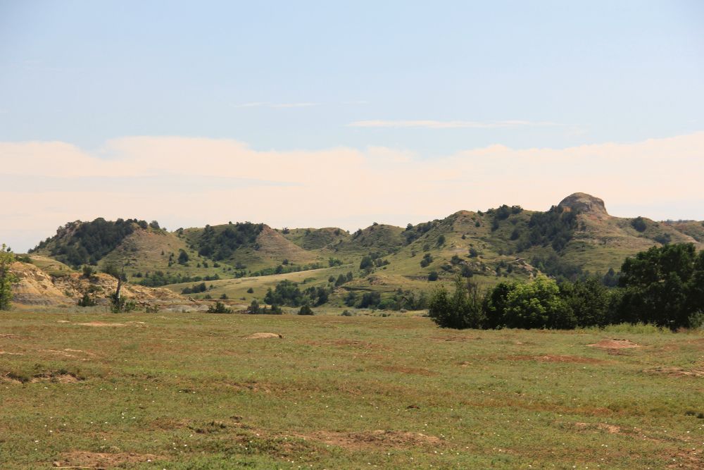 Outlook