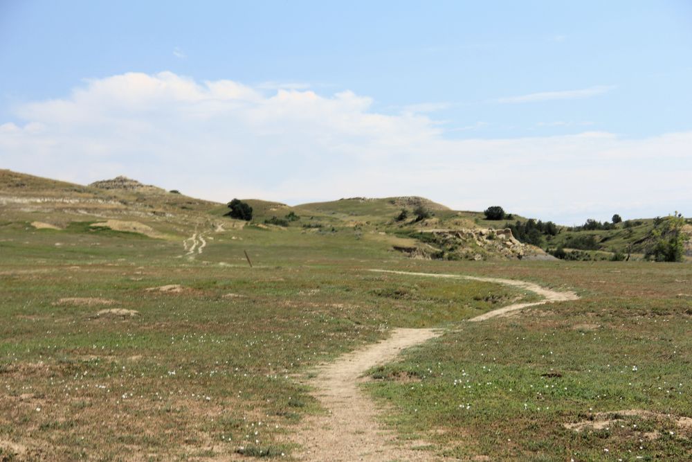 Outlook