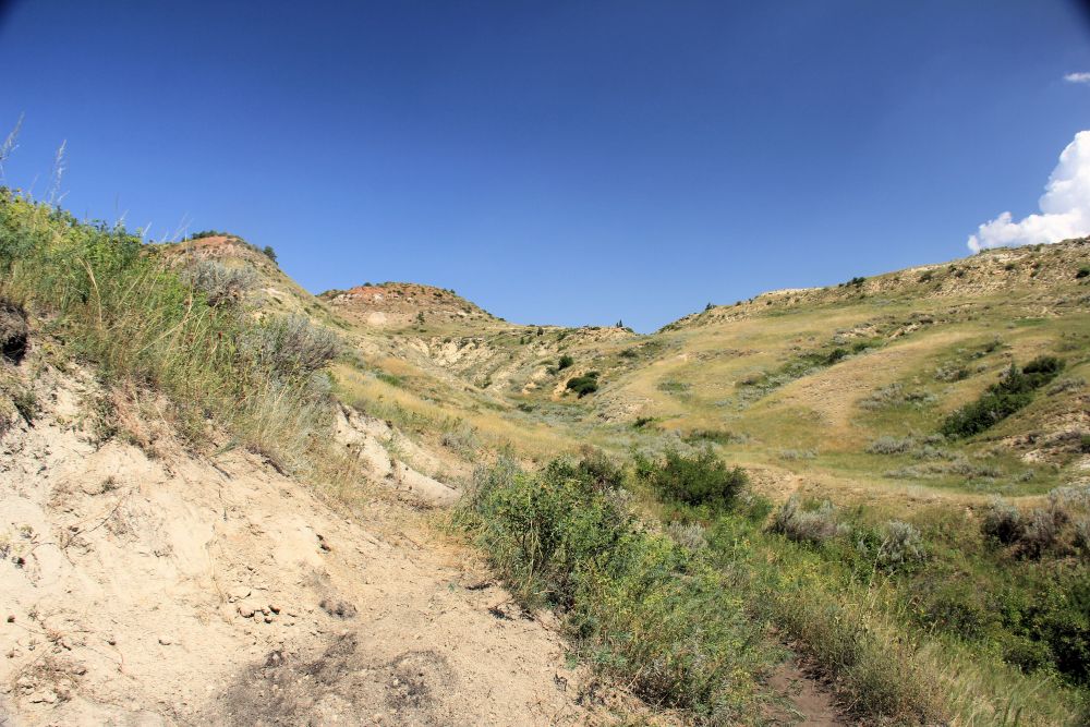 Outlook