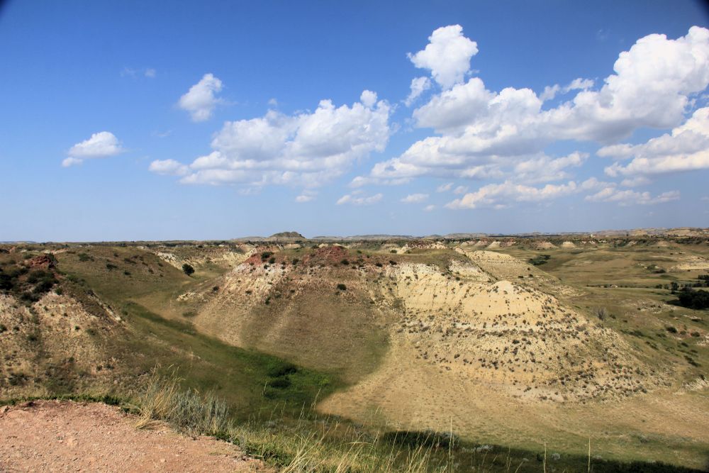 Outlook