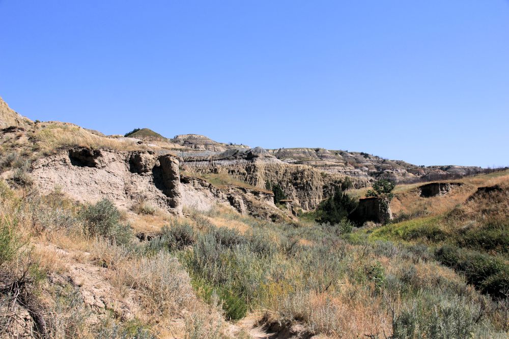 Outlook