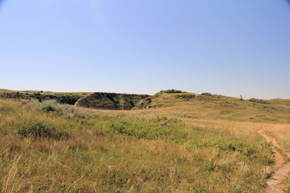 Outlook