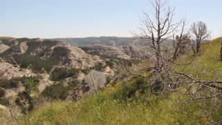 River Bend Overlook