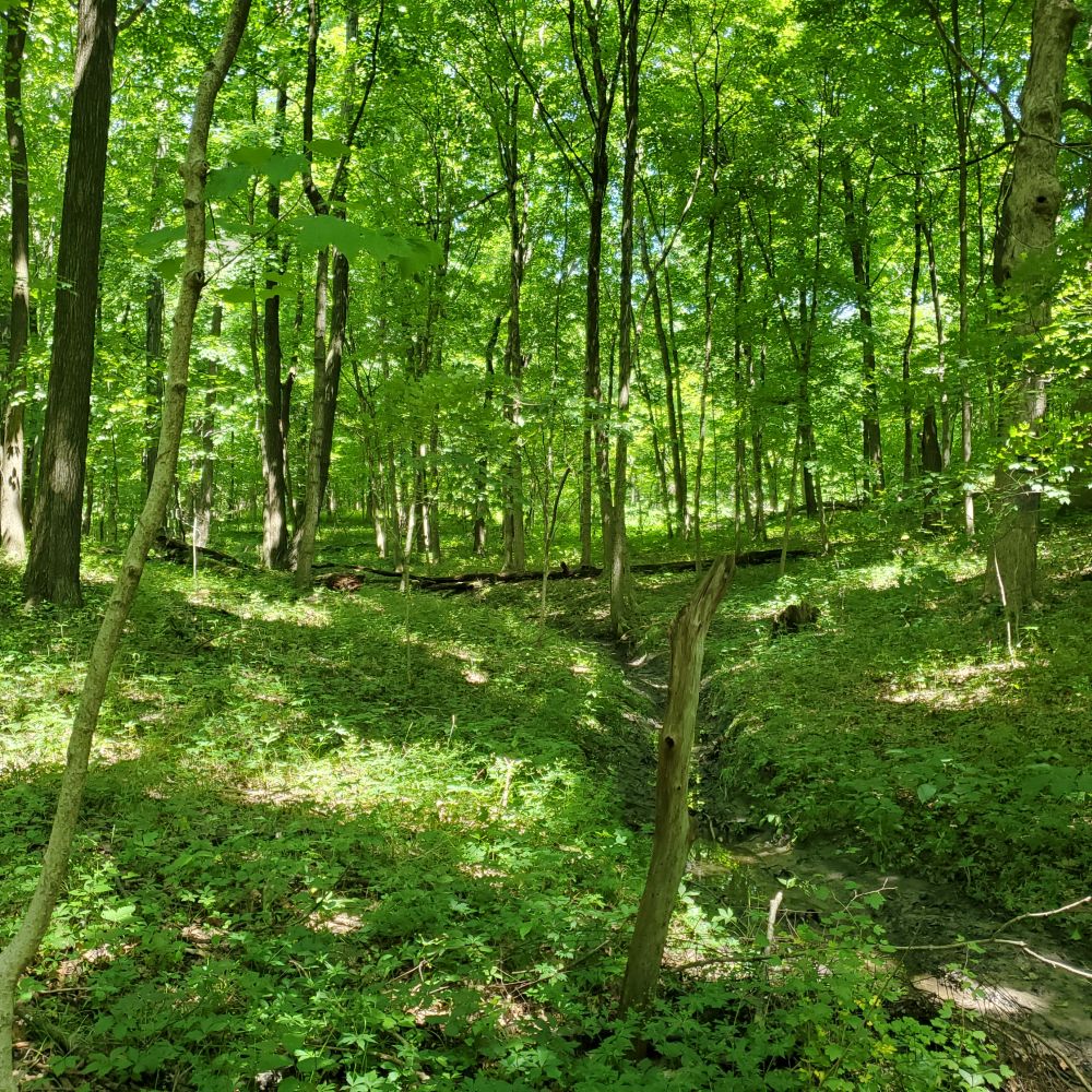 Outlook