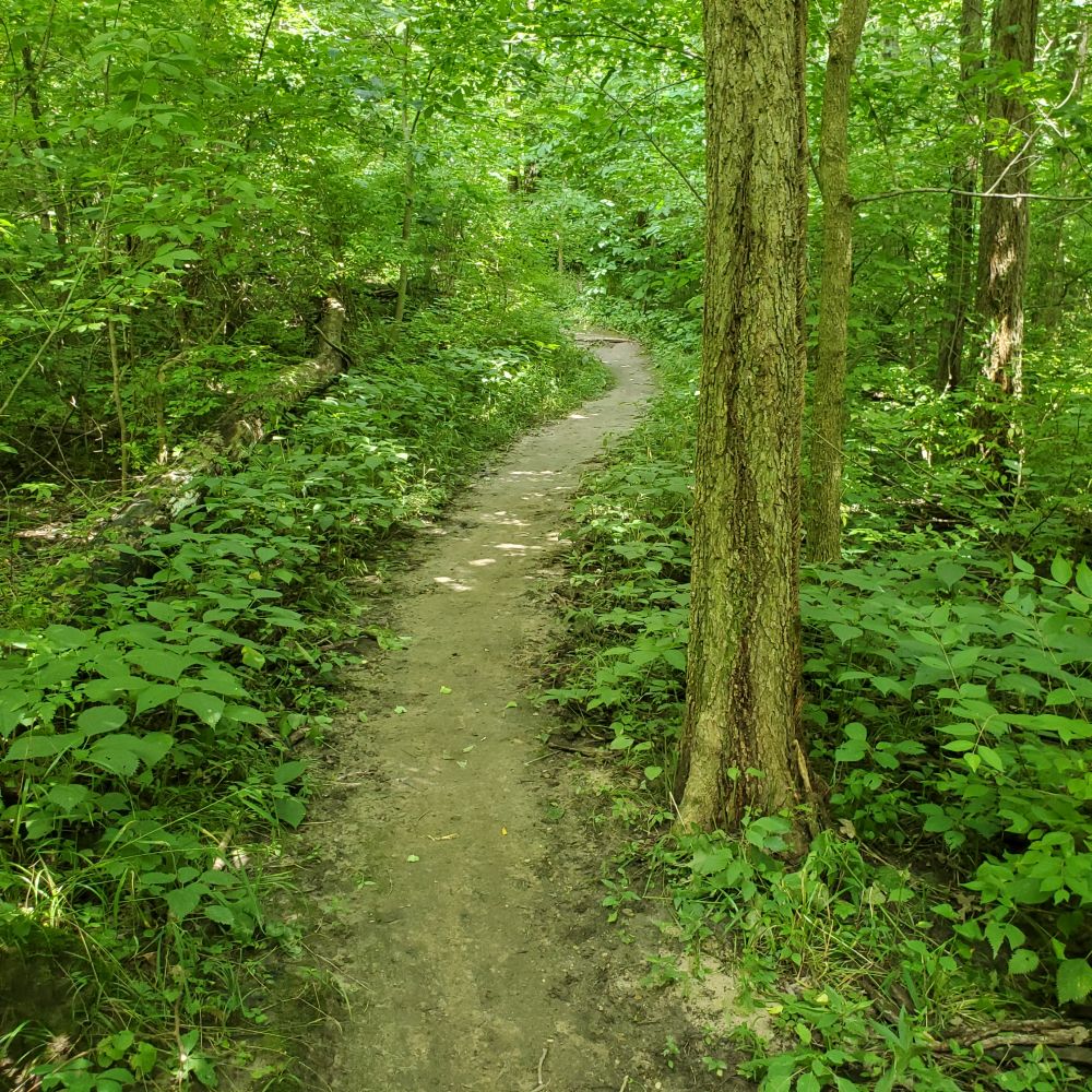 Outlook