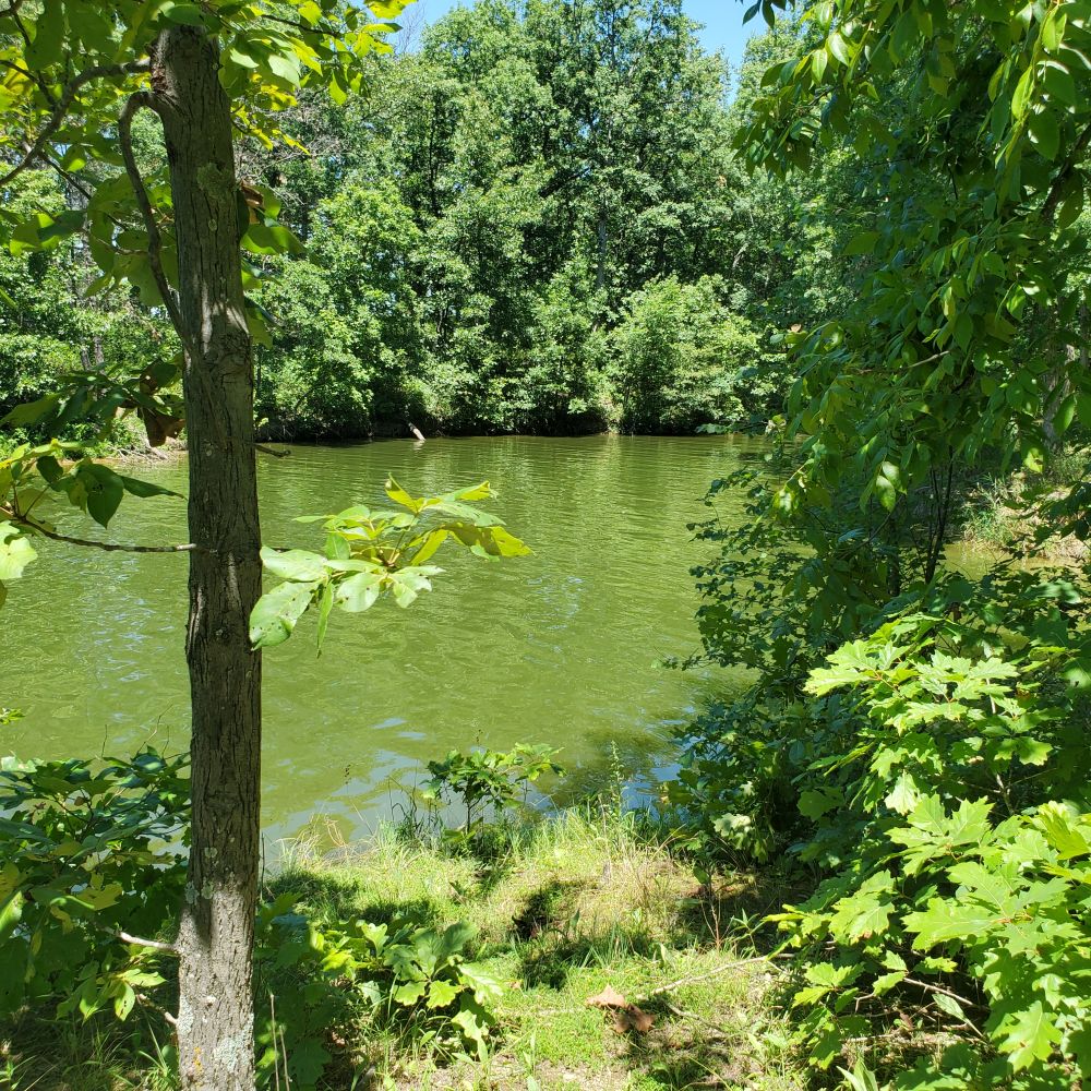 Outlook