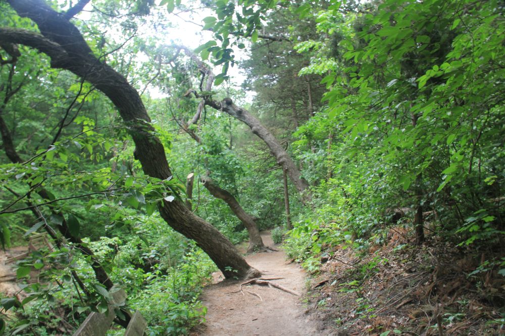 Outlook