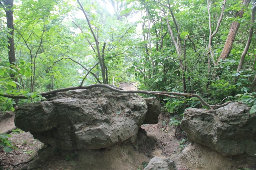Outlook