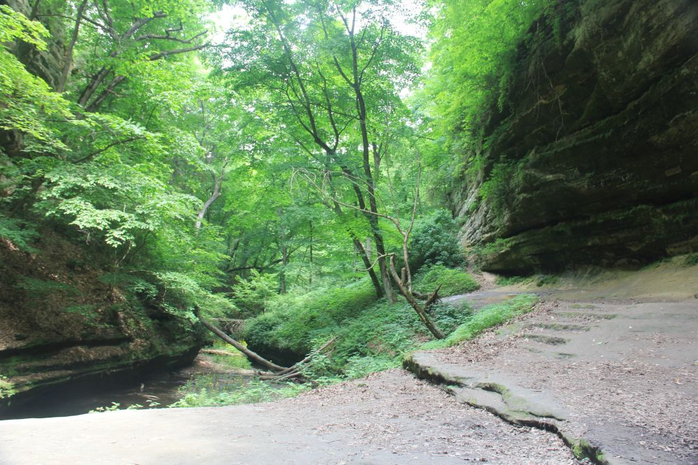 Outlook