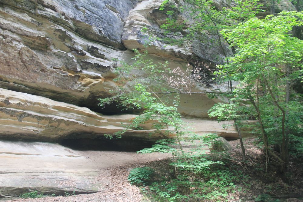 Outlook