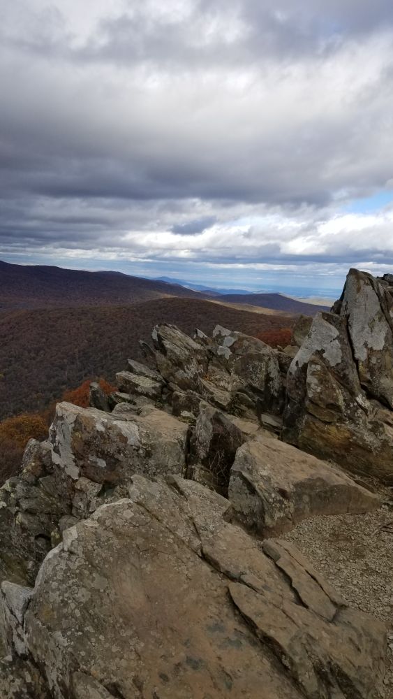 Outlook
