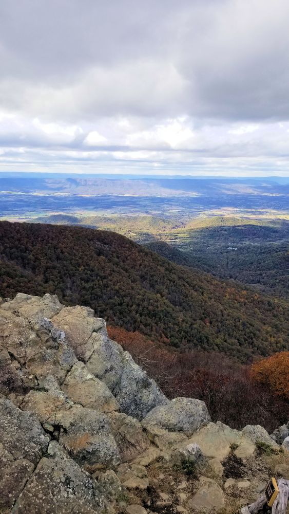 Outlook
