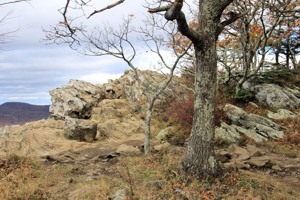 Outlook