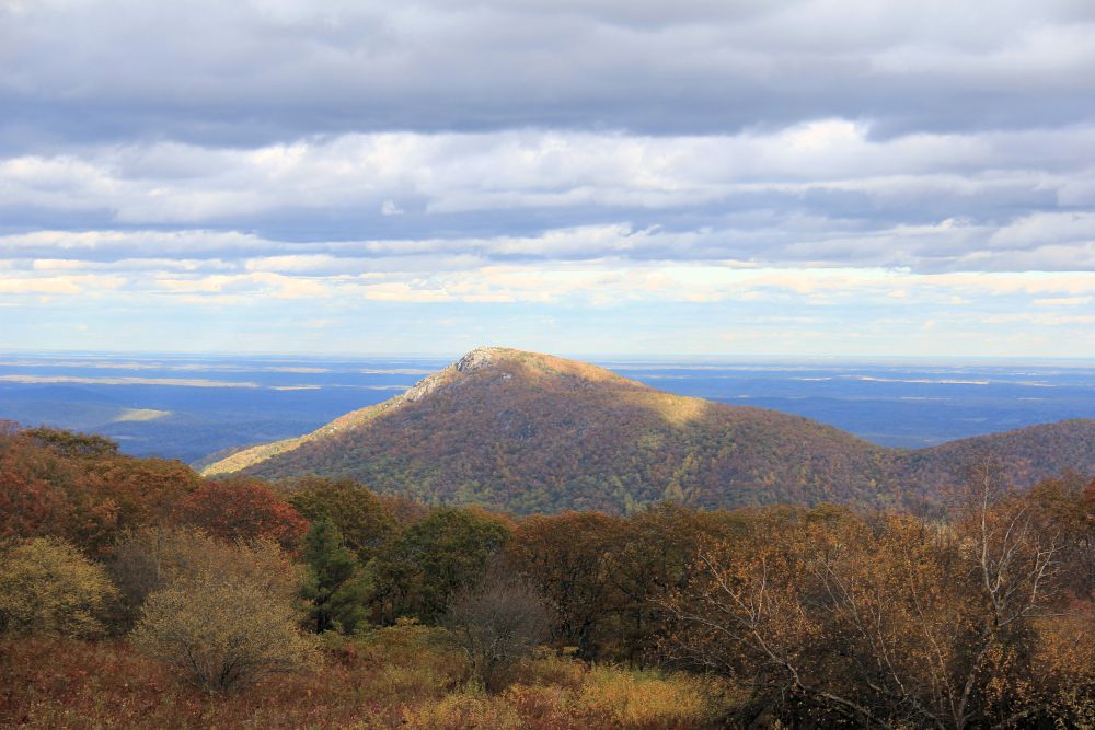 Outlook