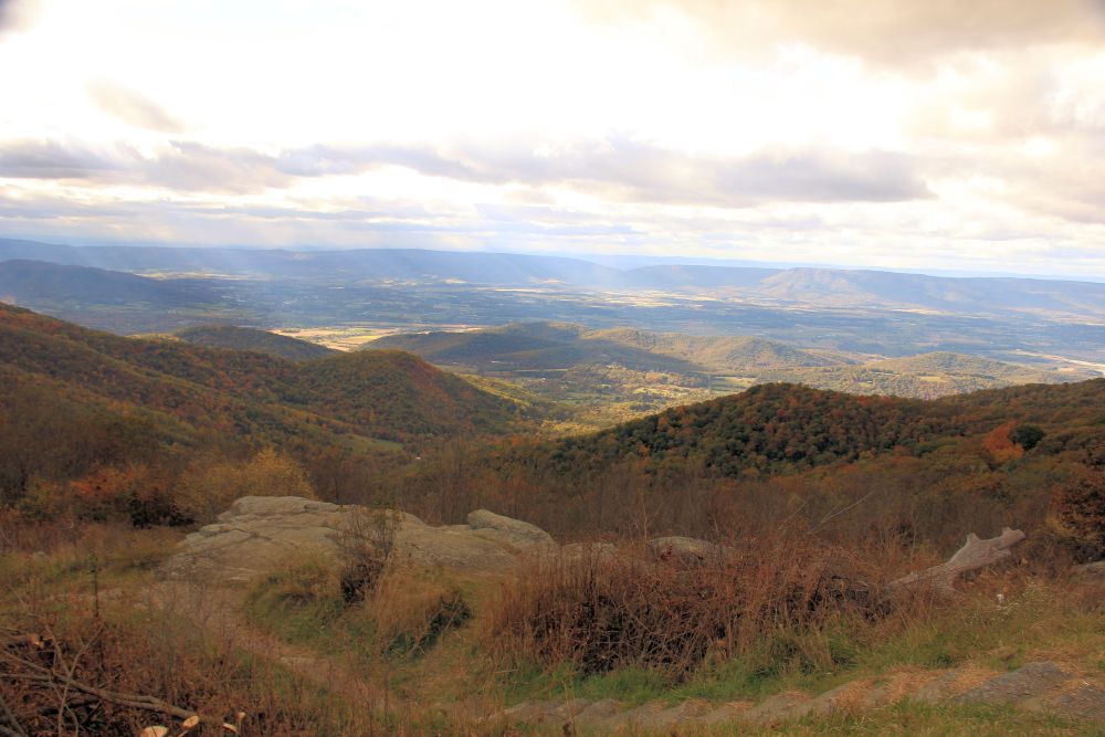 Outlook