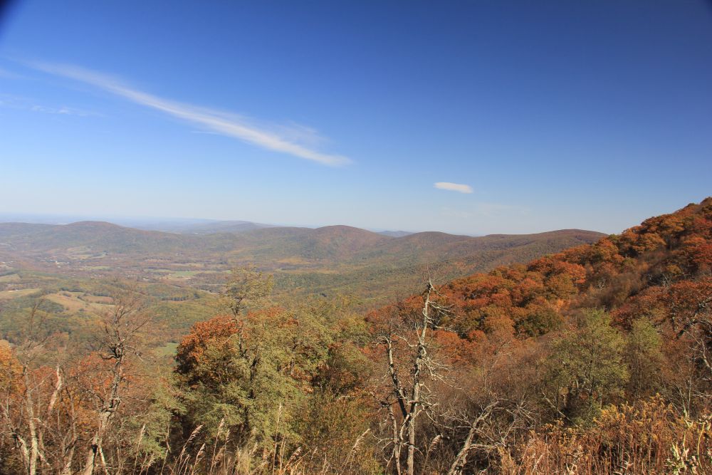 Outlook