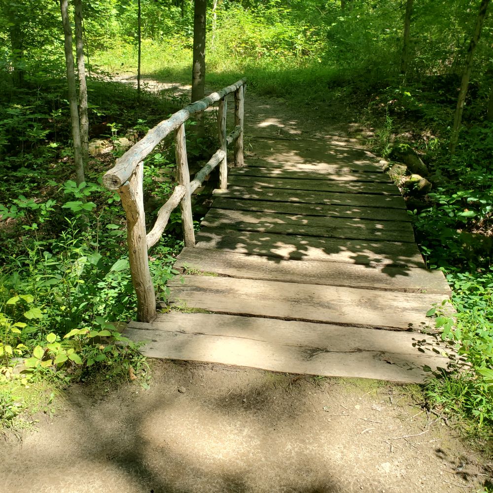 Outlook
