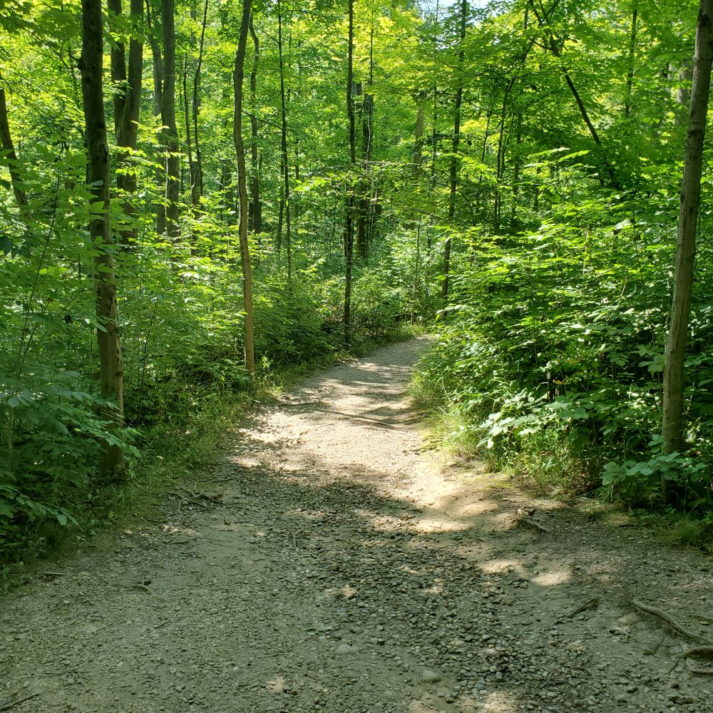 Outlook